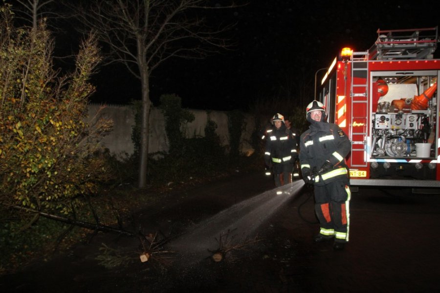 Kerstboombranden Noordwijk